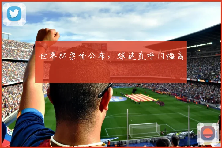 世界杯票价公布,球迷直呼门槛高