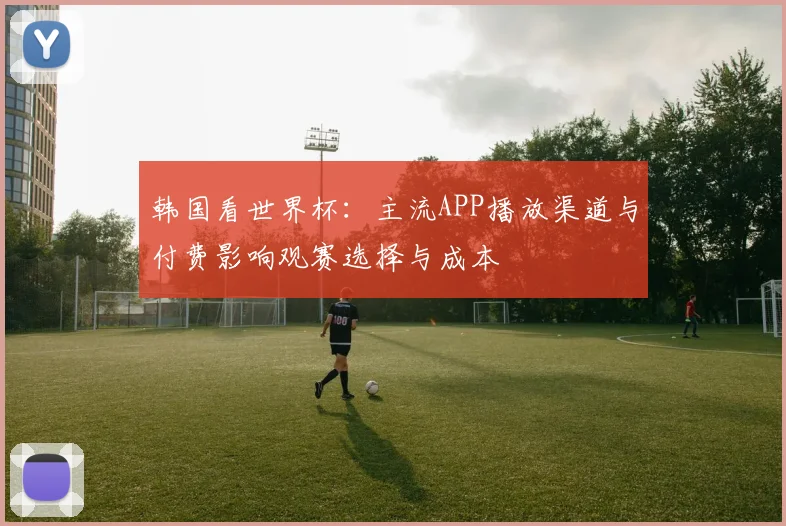 韩国看世界杯：主流APP播放渠道与付费影响观赛选择与成本